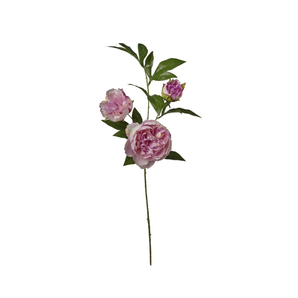 Peonia ramo 3 steli h80 cm Pink